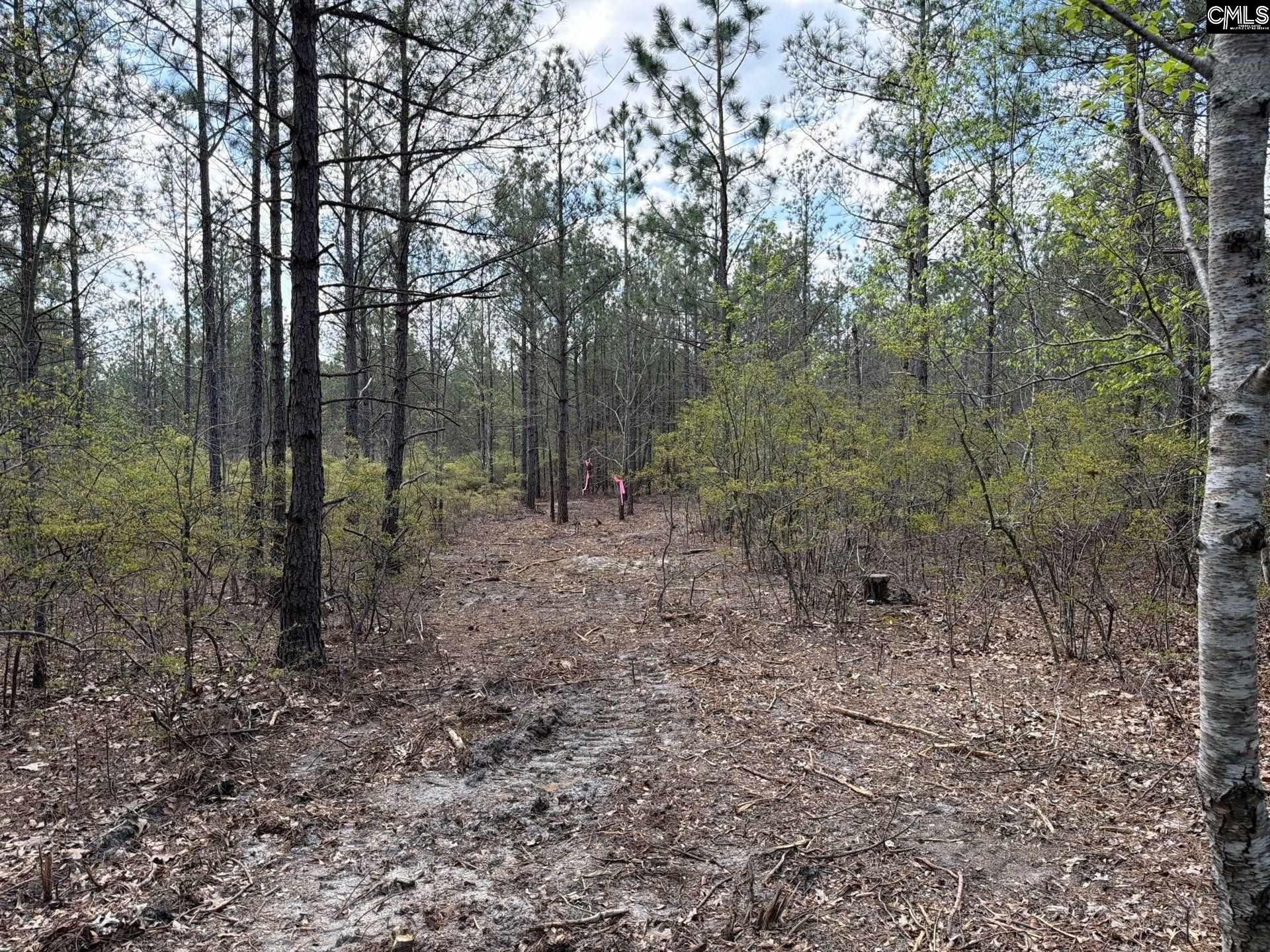 Ca 3 Mt. Calvary Road  Photo 11