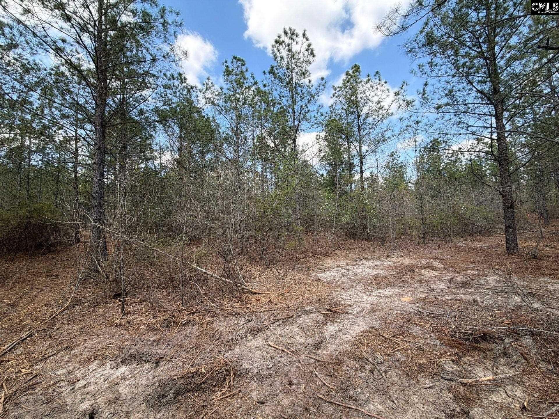 Ca 3 Mt. Calvary Road  Photo 13