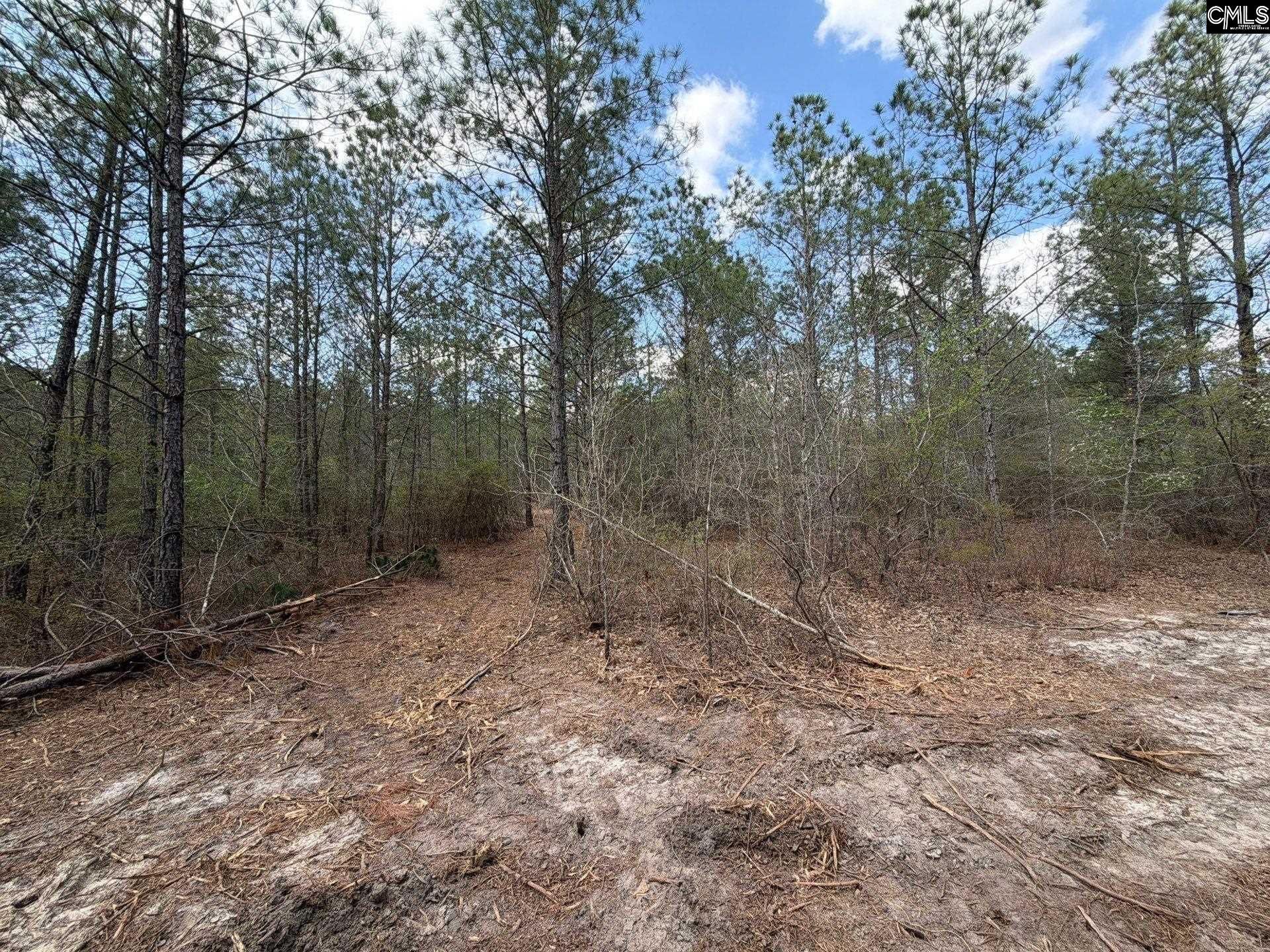 Ca 3 Mt. Calvary Road  Photo 14