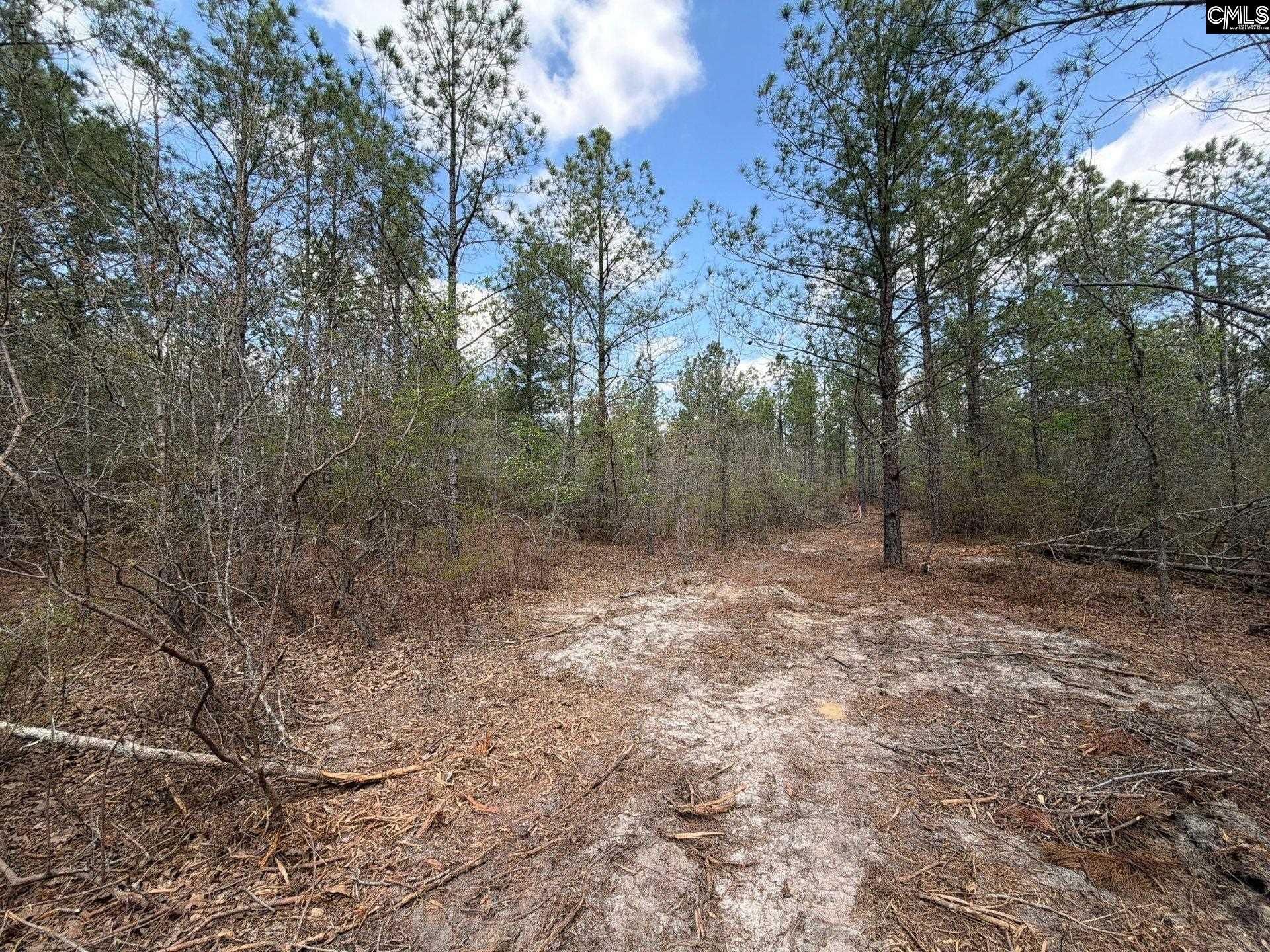 Ca 3 Mt. Calvary Road  Photo 15