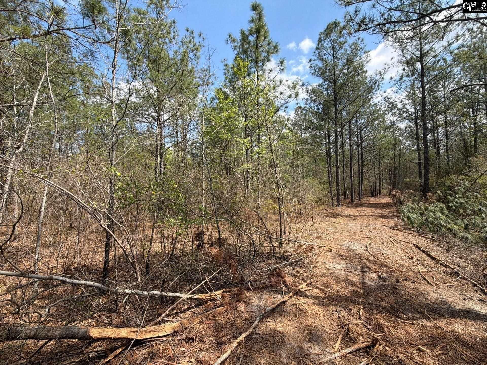 Ca 3 Mt. Calvary Road  Photo 16