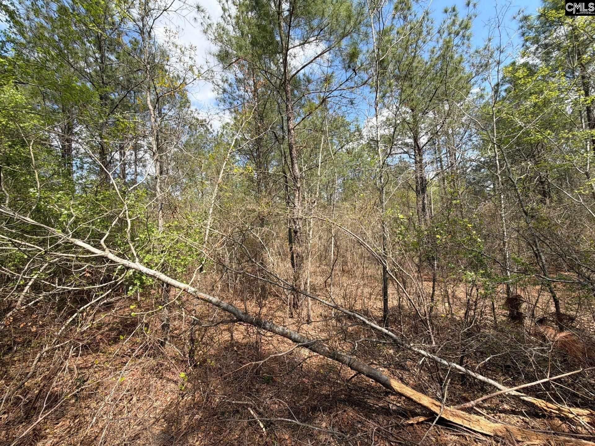 Ca 3 Mt. Calvary Road  Photo 17