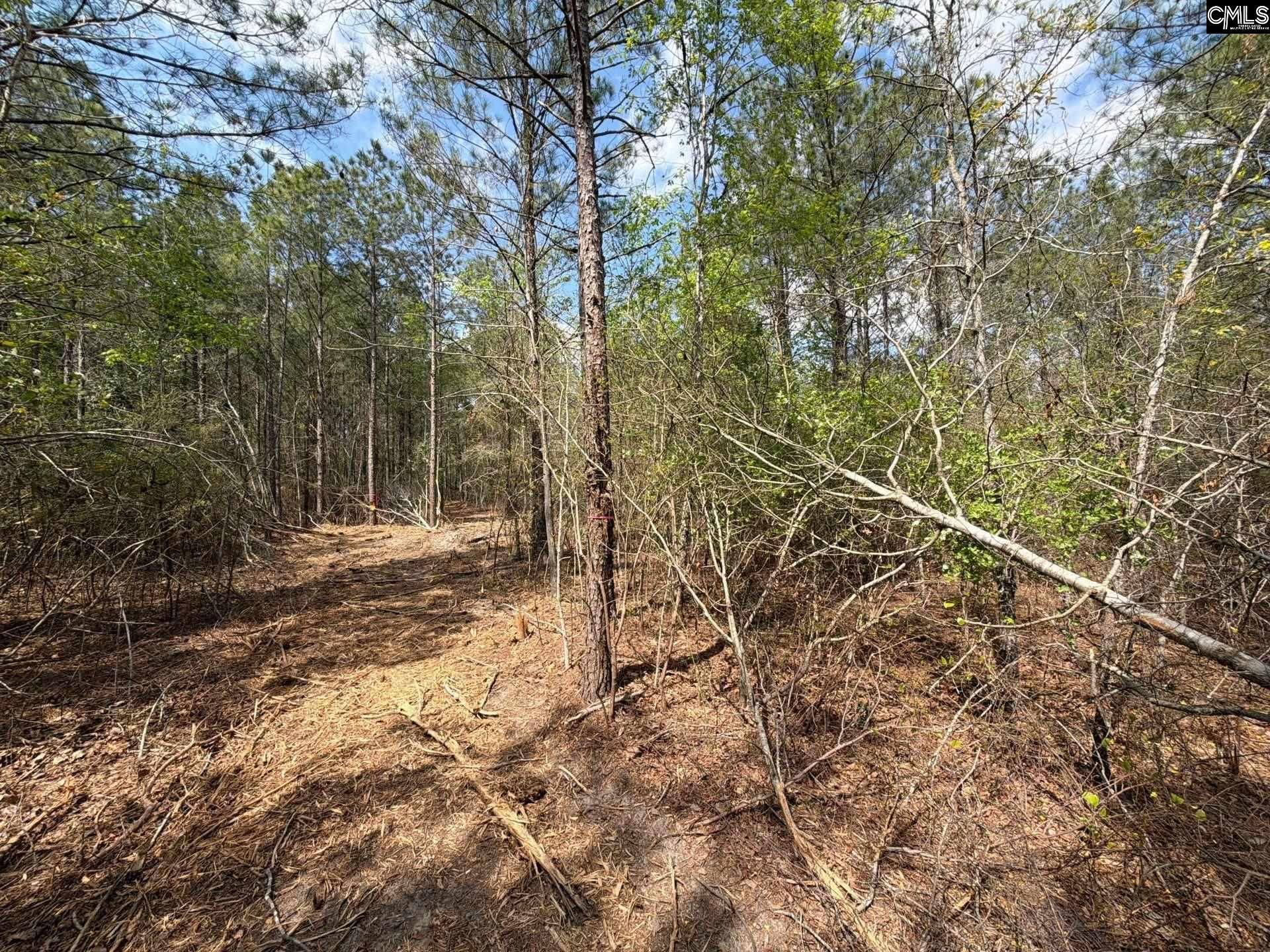 Ca 3 Mt. Calvary Road  Photo 18