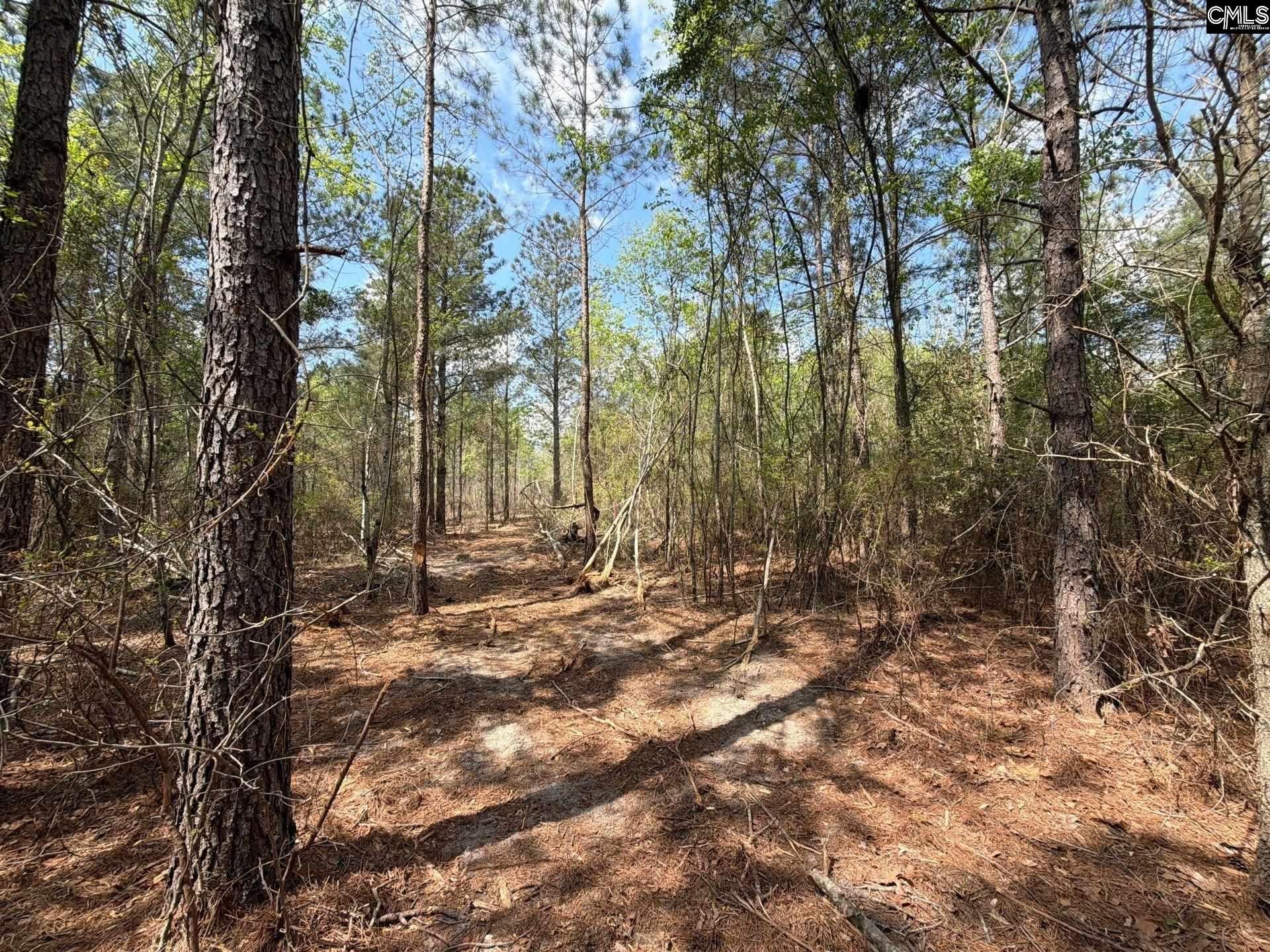 Ca 3 Mt. Calvary Road  Photo 19