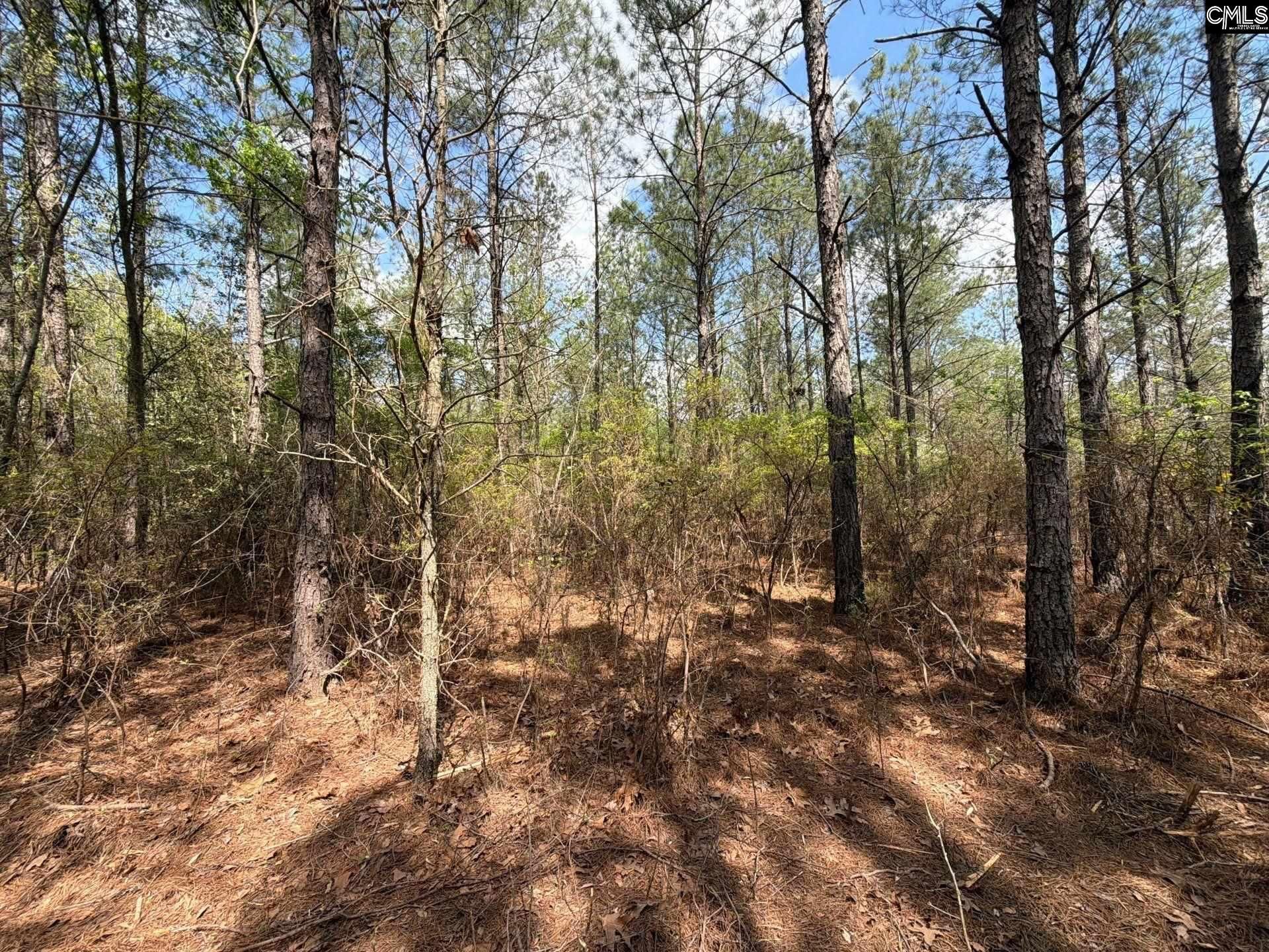 Ca 3 Mt. Calvary Road  Photo 20