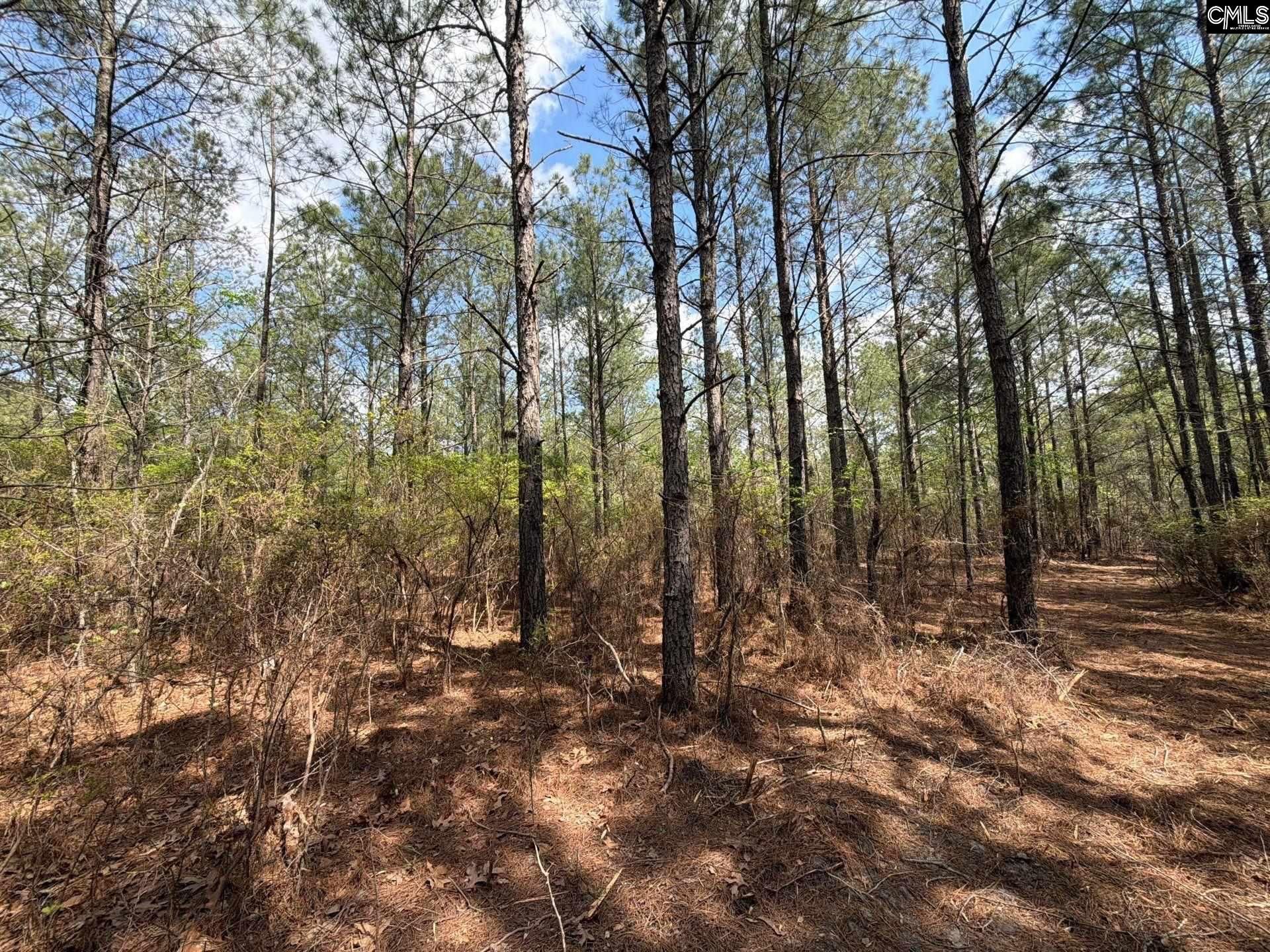 Ca 3 Mt. Calvary Road  Photo 21