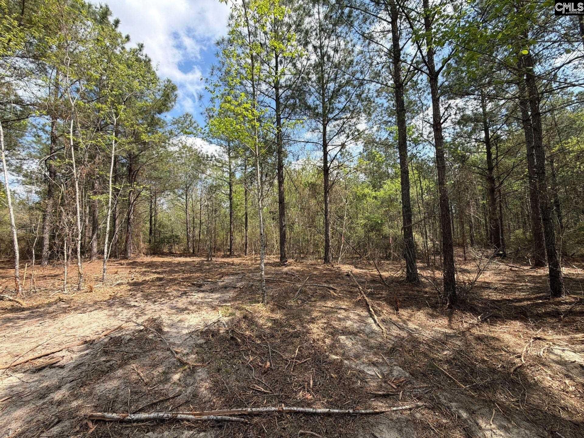 Ca 3 Mt. Calvary Road  Photo 22