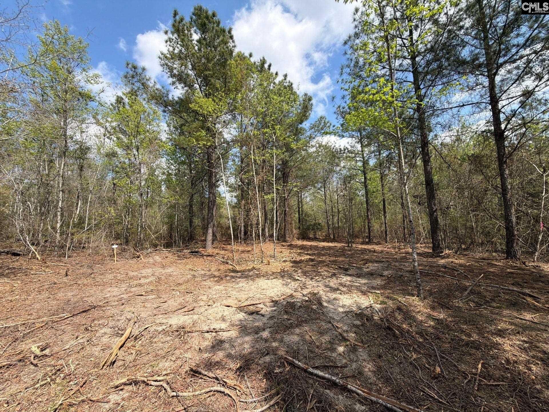 Ca 3 Mt. Calvary Road  Photo 23