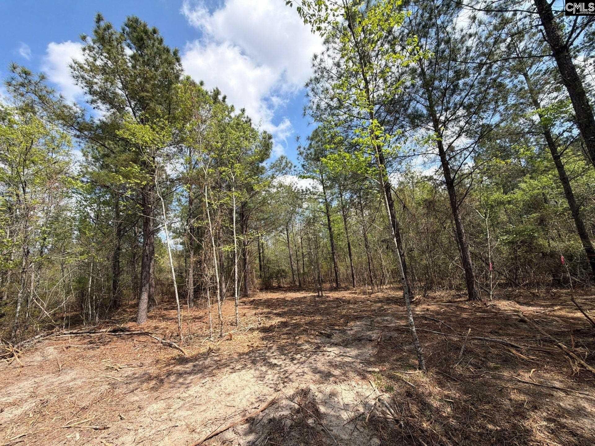 Ca 3 Mt. Calvary Road  Photo 26