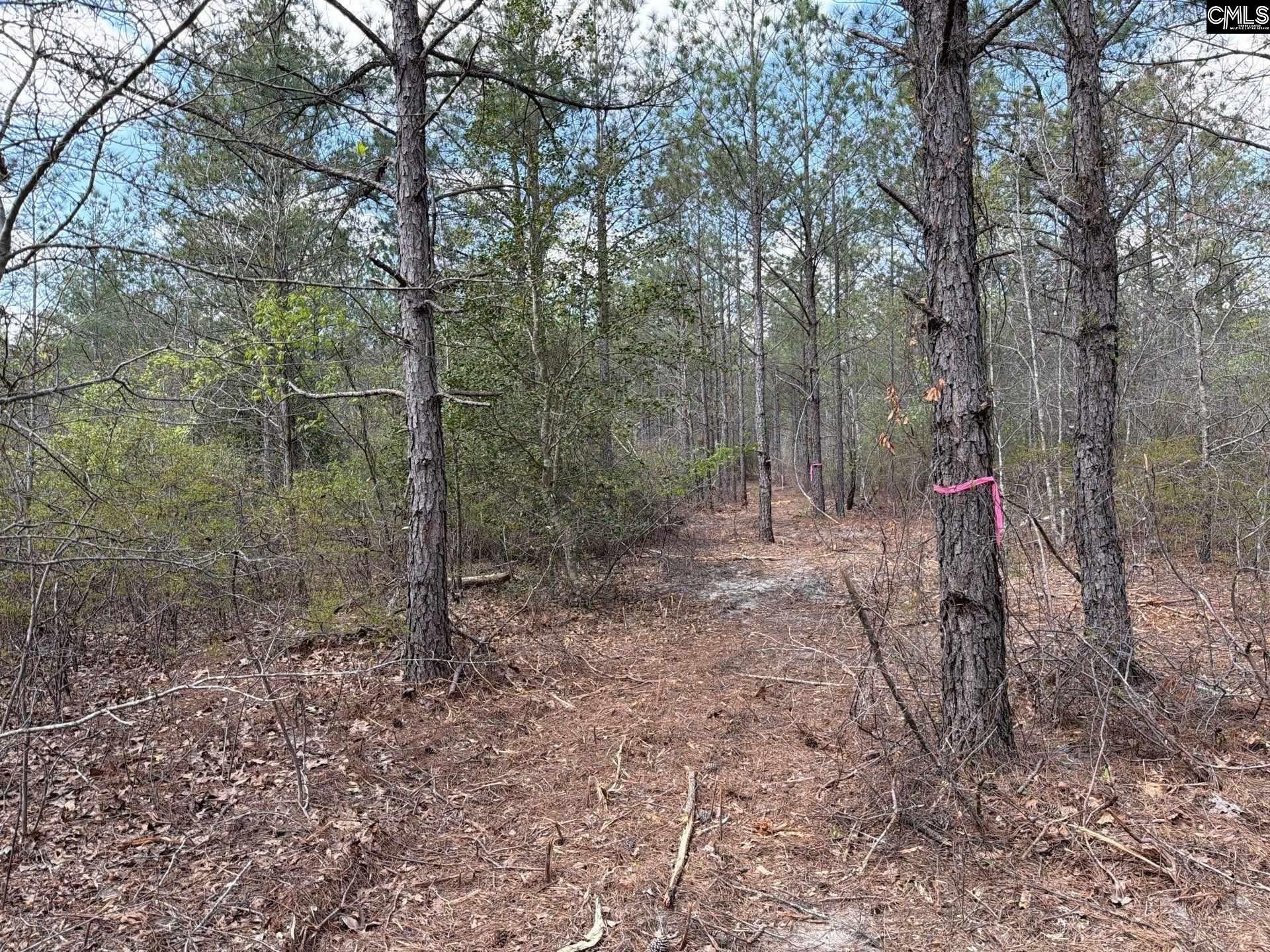 Ca 3 Mt. Calvary Road  Photo 6