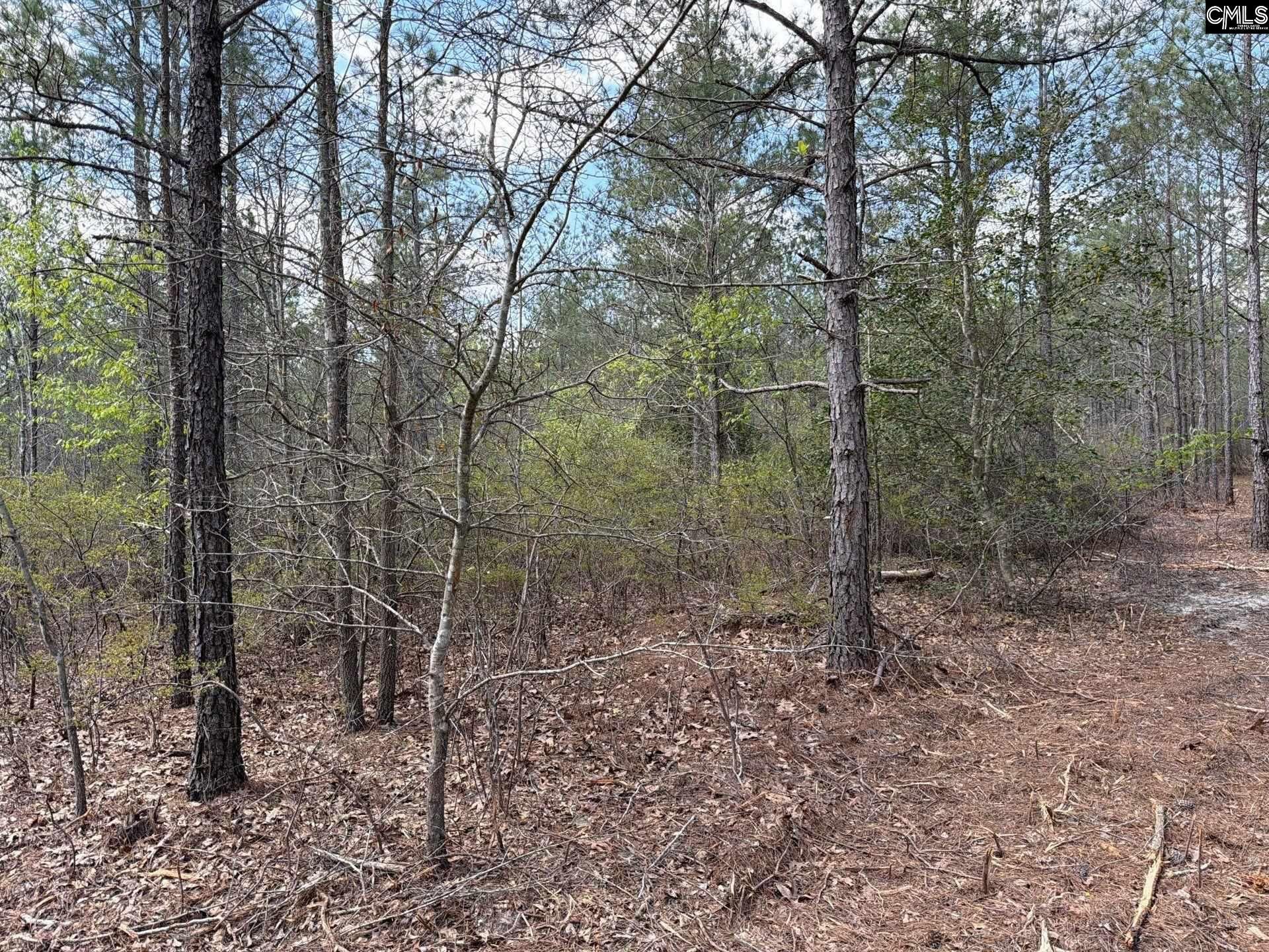 Ca 3 Mt. Calvary Road  Photo 8