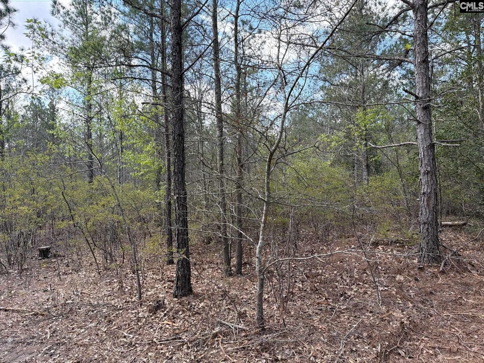 Ca 3 Mt. Calvary Road  Photo 9