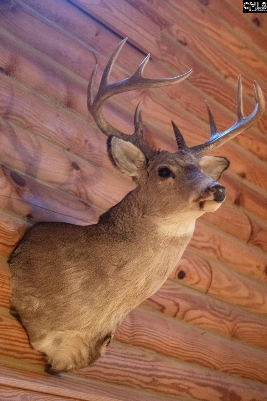 57 Club Lane  Photo 27