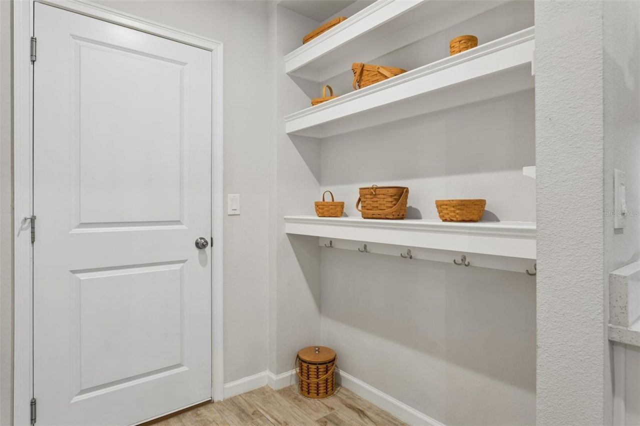 4317 Cloud Hopper Way, Lutz, FL 33559 Photo