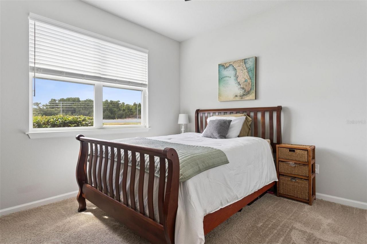 4317 Cloud Hopper Way, Lutz, FL 33559 Photo