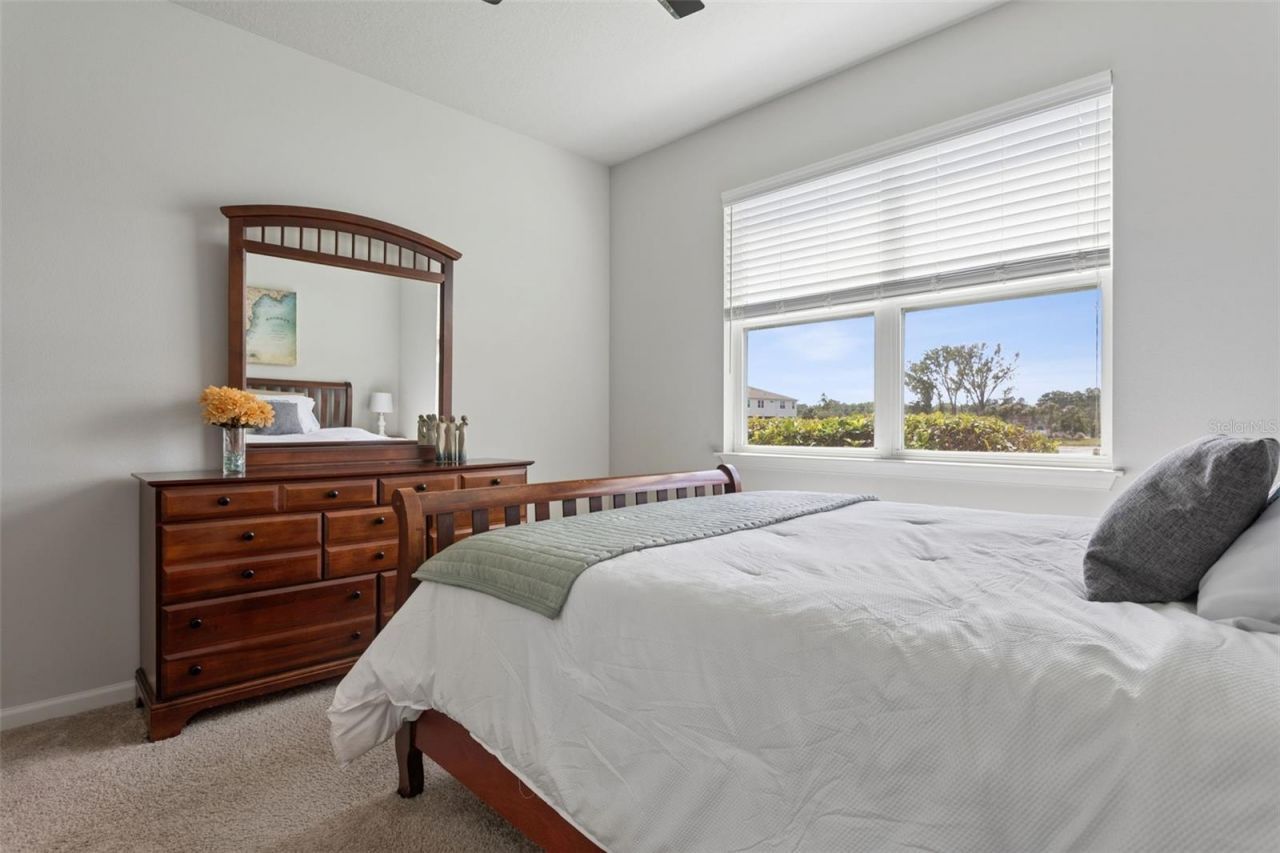 4317 Cloud Hopper Way, Lutz, FL 33559 Photo