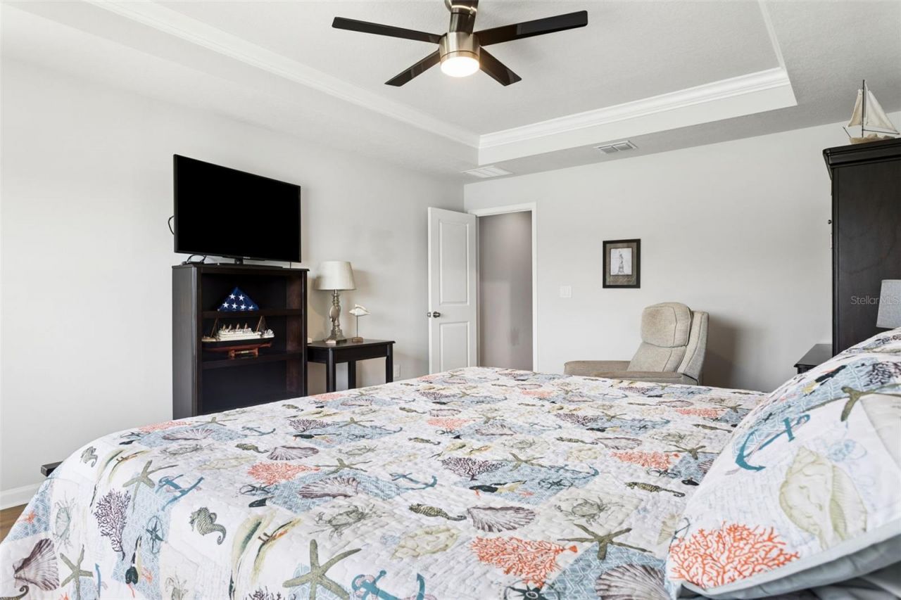 4317 Cloud Hopper Way, Lutz, FL 33559 Photo