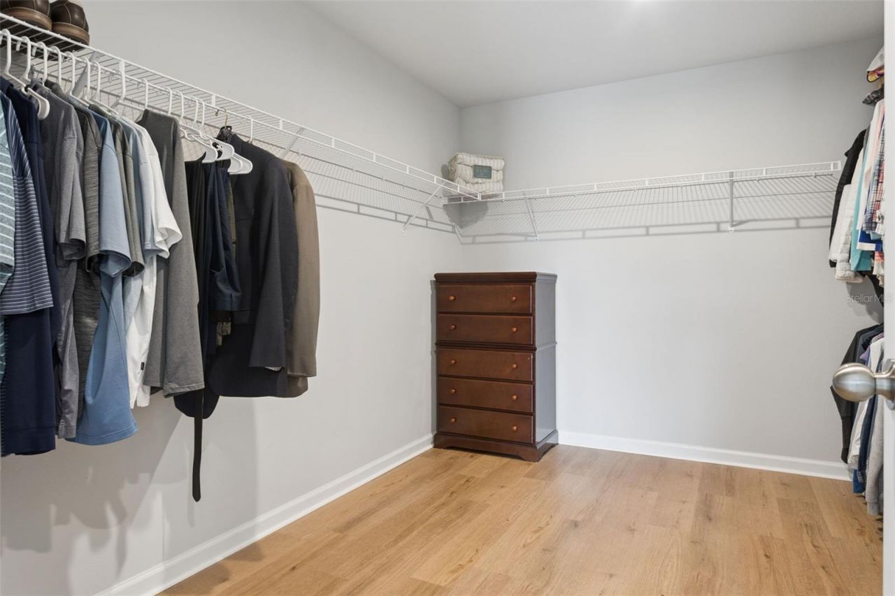 4317 Cloud Hopper Way, Lutz, FL 33559 Photo