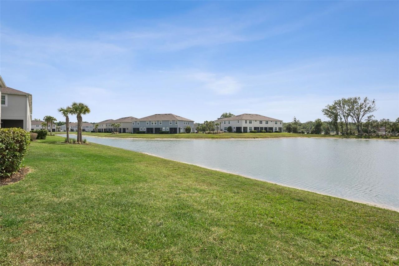 4317 Cloud Hopper Way, Lutz, FL 33559 Photo