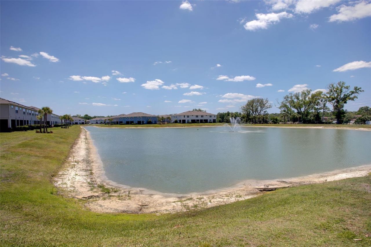 4317 Cloud Hopper Way, Lutz, FL 33559 Photo