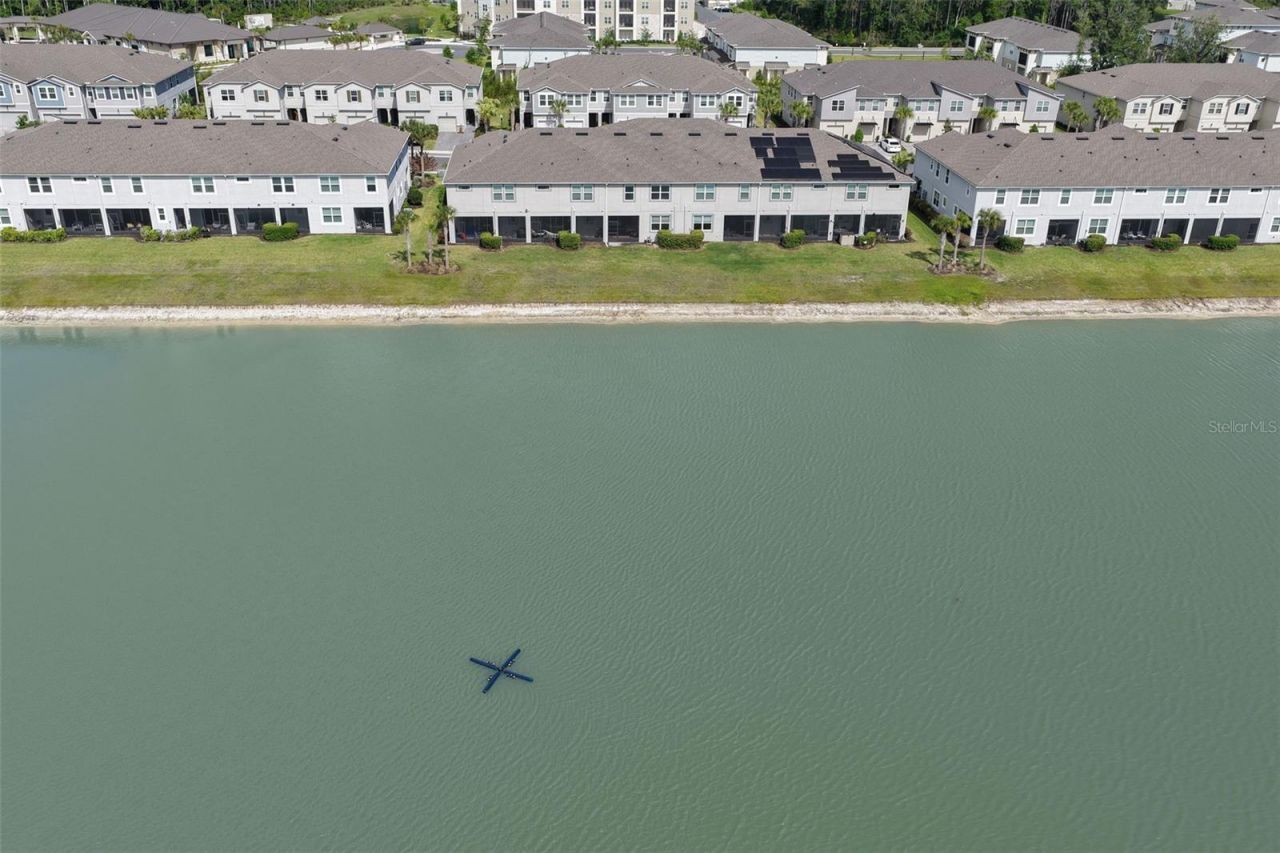 4317 Cloud Hopper Way, Lutz, FL 33559 Photo