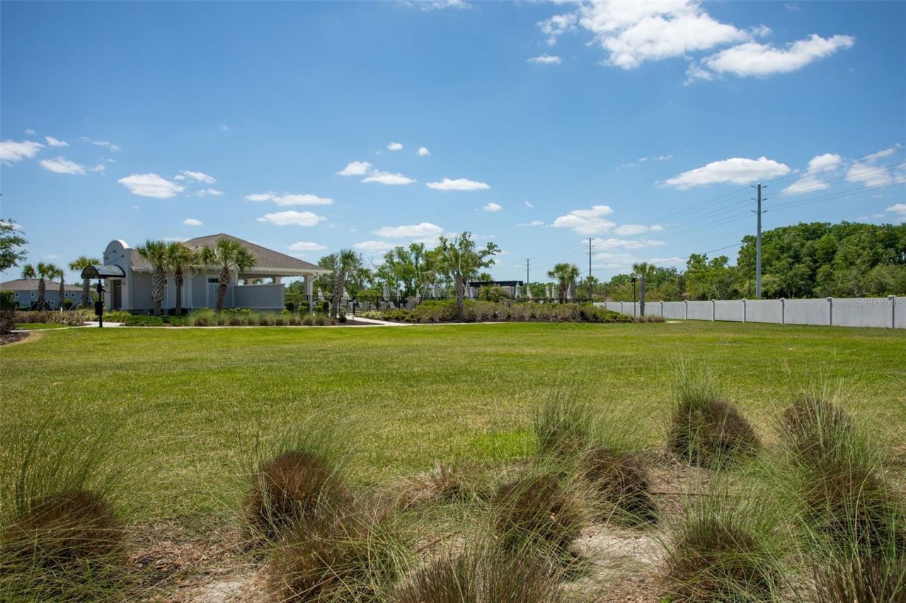 4317 Cloud Hopper Way, Lutz, FL 33559 Photo
