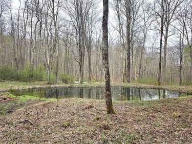 County Highway 52 , Cooperstown, NY 13326