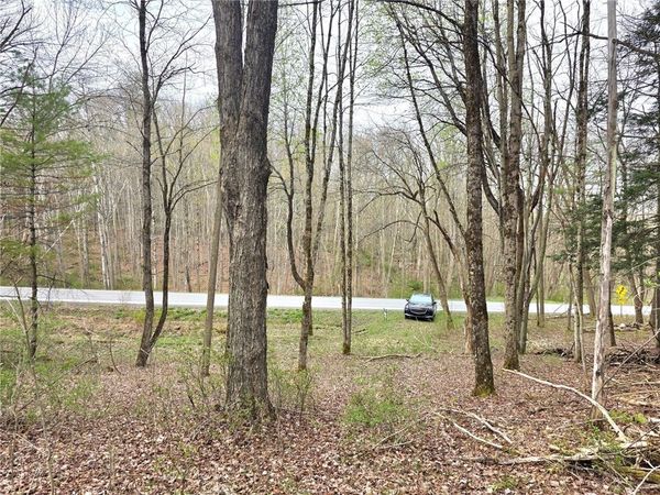 County Highway 52, Cooperstown, NY 13326