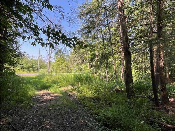 VL Genesee Road , Arcade, NY 14009