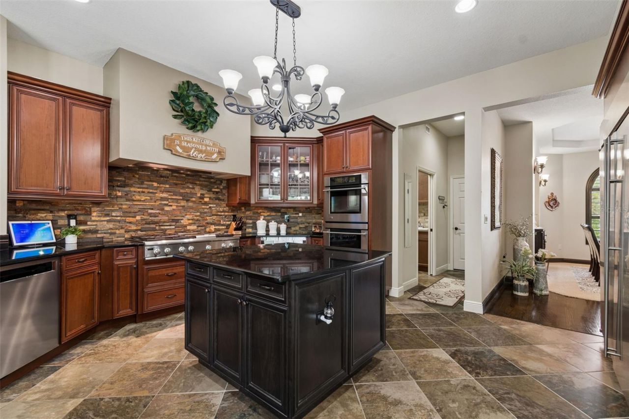 20330 Lace Cascade Road, Land O Lakes, FL 34637 Photo