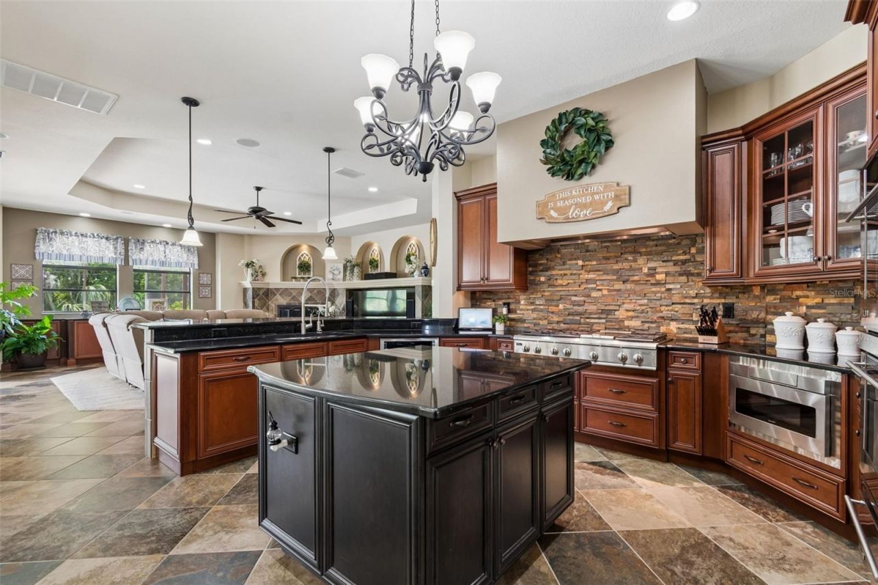 20330 Lace Cascade Road, Land O Lakes, FL 34637 Photo