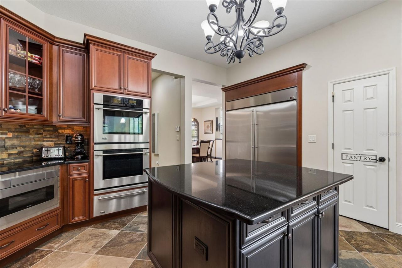 20330 Lace Cascade Road, Land O Lakes, FL 34637 Photo