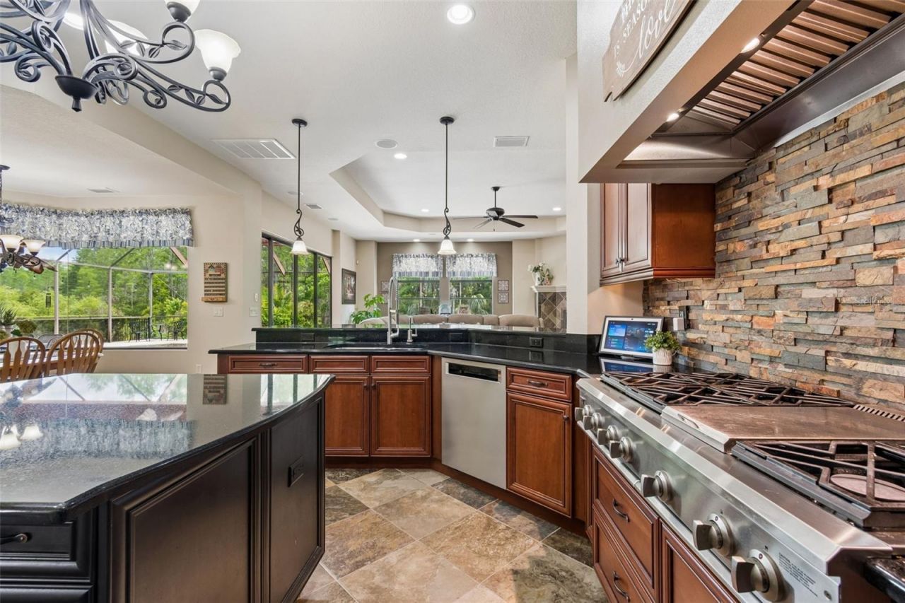 20330 Lace Cascade Road, Land O Lakes, FL 34637 Photo