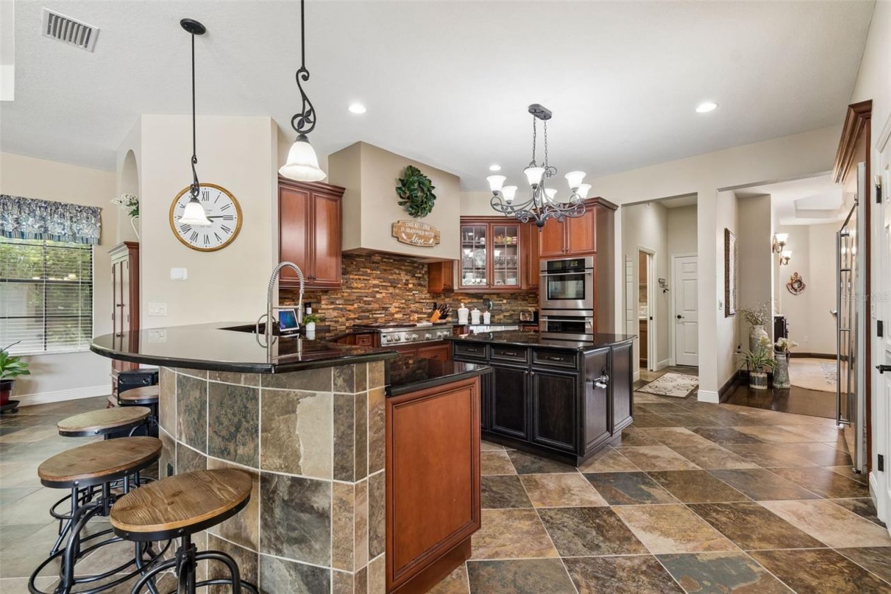 20330 Lace Cascade Road, Land O Lakes, FL 34637 Photo