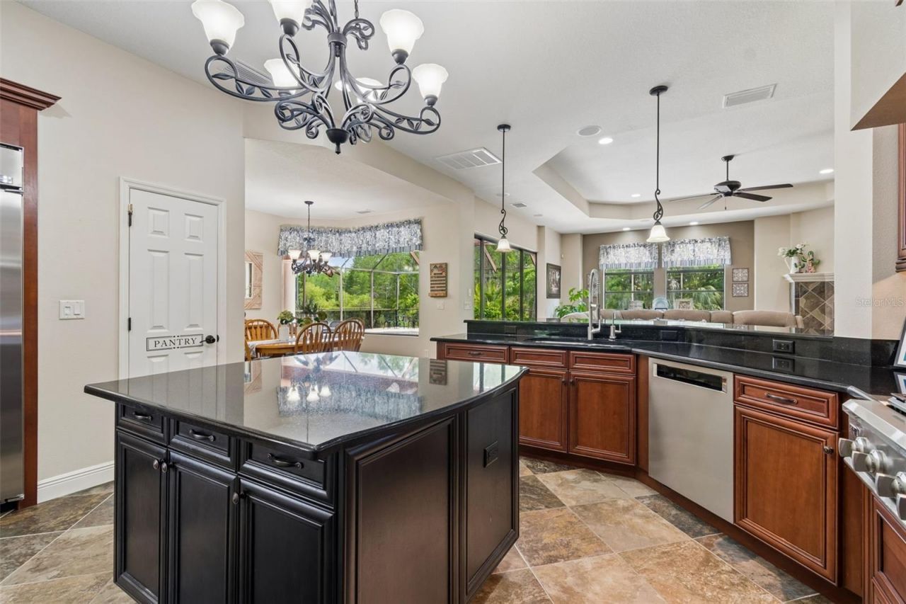 20330 Lace Cascade Road, Land O Lakes, FL 34637 Photo