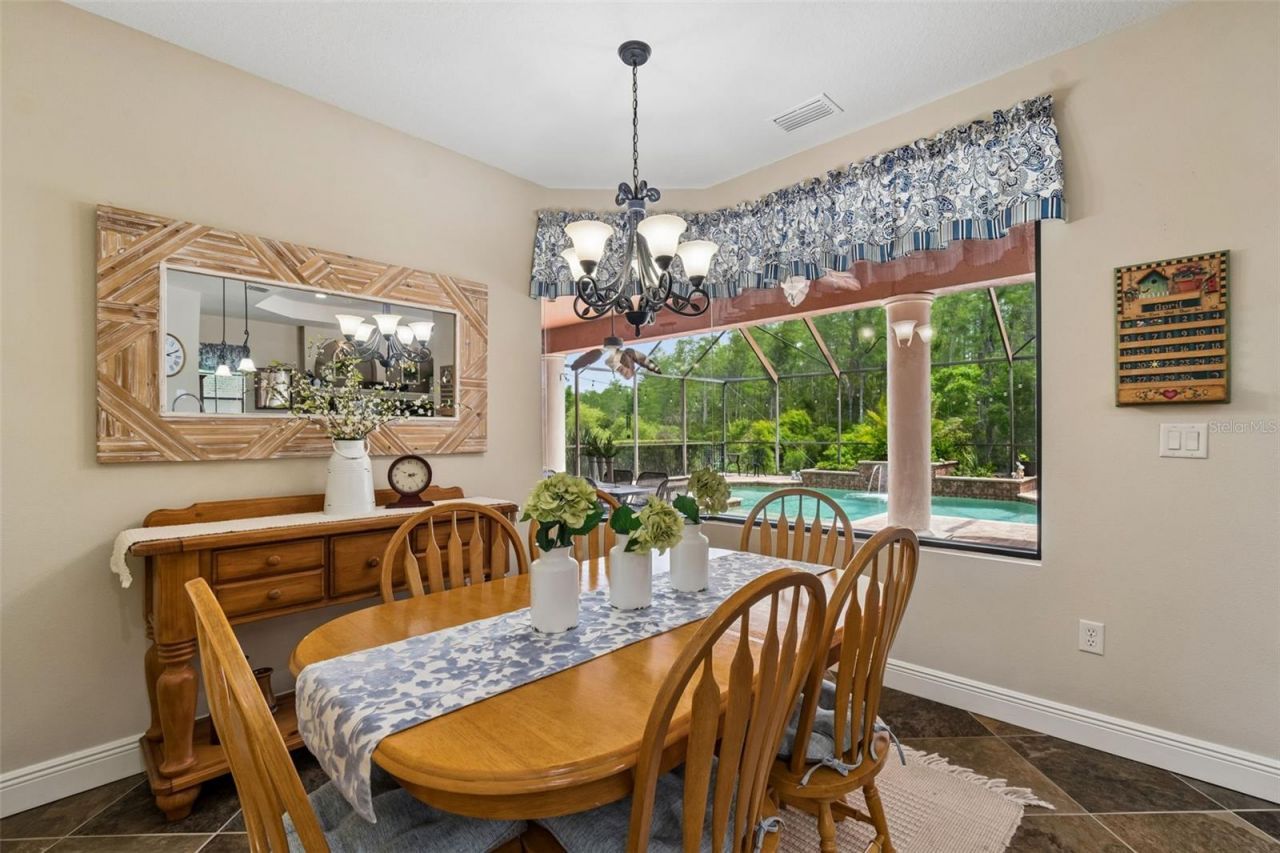 20330 Lace Cascade Road, Land O Lakes, FL 34637 Photo