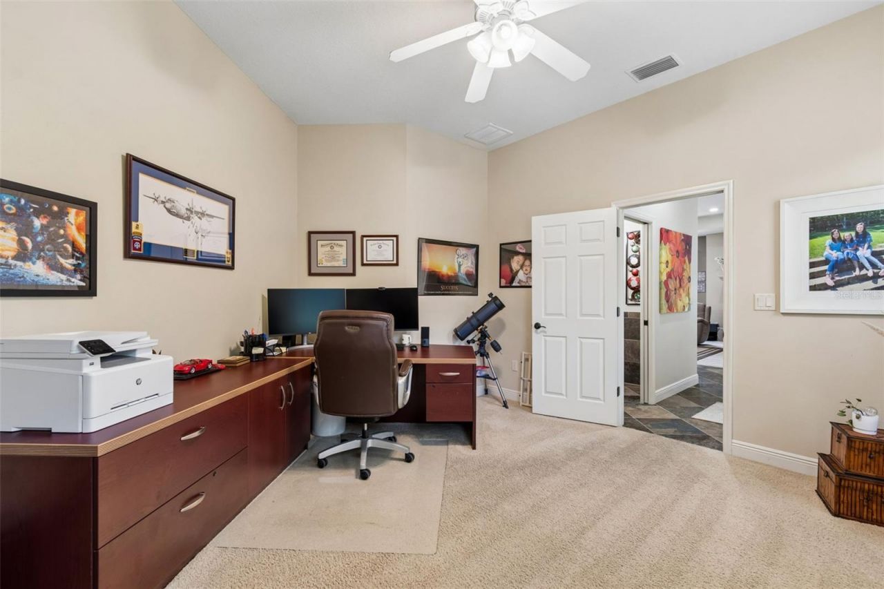 20330 Lace Cascade Road, Land O Lakes, FL 34637 Photo