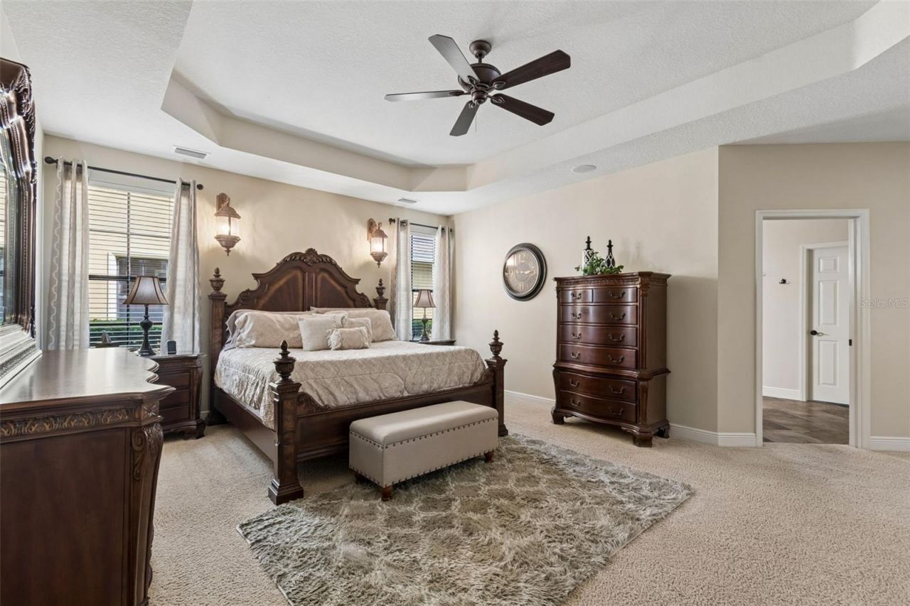 20330 Lace Cascade Road, Land O Lakes, FL 34637 Photo