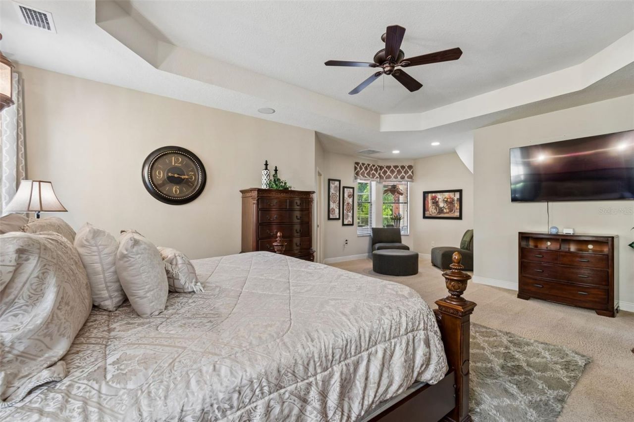 20330 Lace Cascade Road, Land O Lakes, FL 34637 Photo