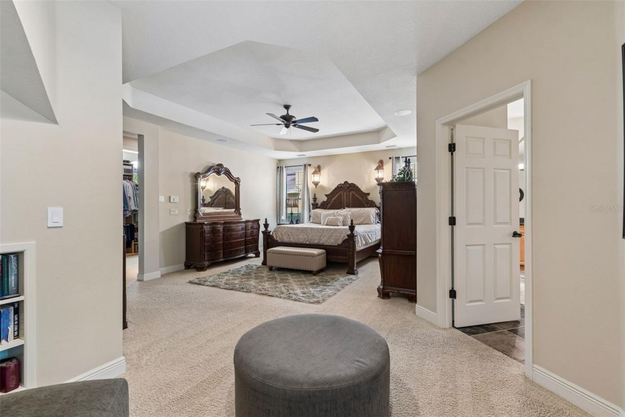 20330 Lace Cascade Road, Land O Lakes, FL 34637 Photo