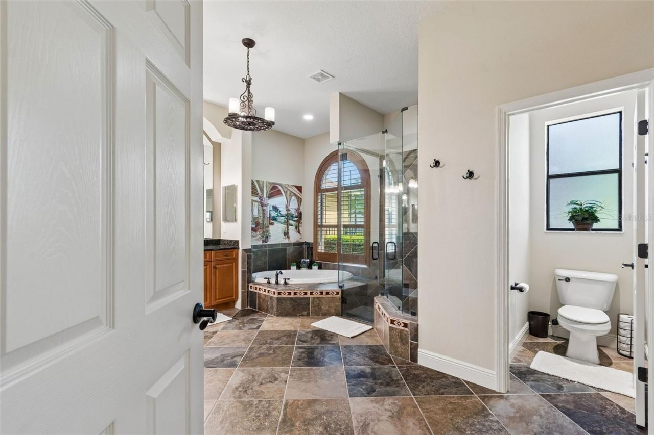 20330 Lace Cascade Road, Land O Lakes, FL 34637 Photo