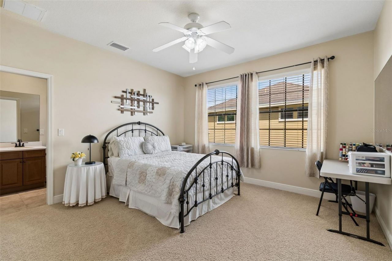 20330 Lace Cascade Road, Land O Lakes, FL 34637 Photo