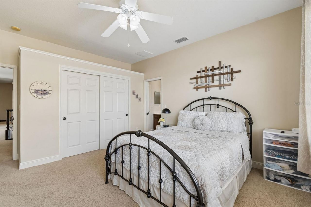 20330 Lace Cascade Road, Land O Lakes, FL 34637 Photo