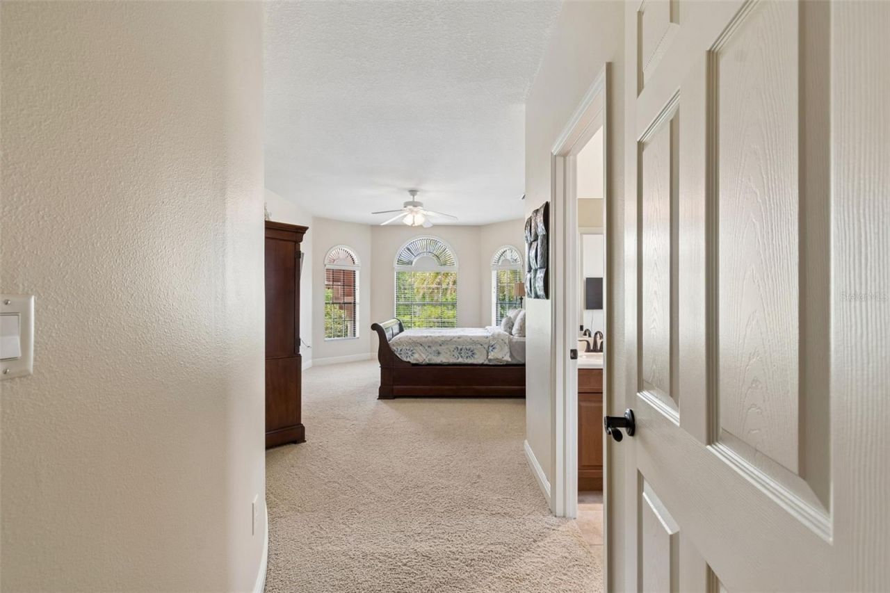 20330 Lace Cascade Road, Land O Lakes, FL 34637 Photo