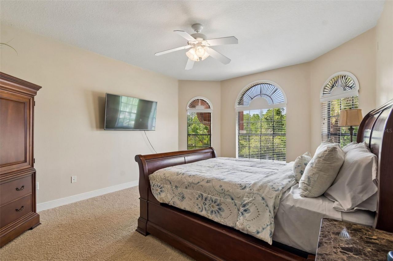 20330 Lace Cascade Road, Land O Lakes, FL 34637 Photo