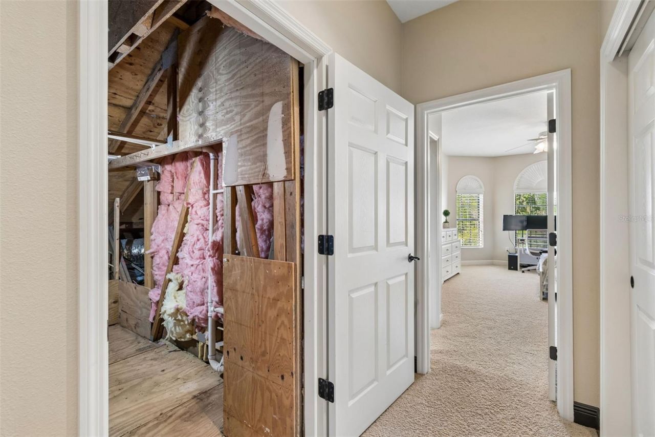 20330 Lace Cascade Road, Land O Lakes, FL 34637 Photo