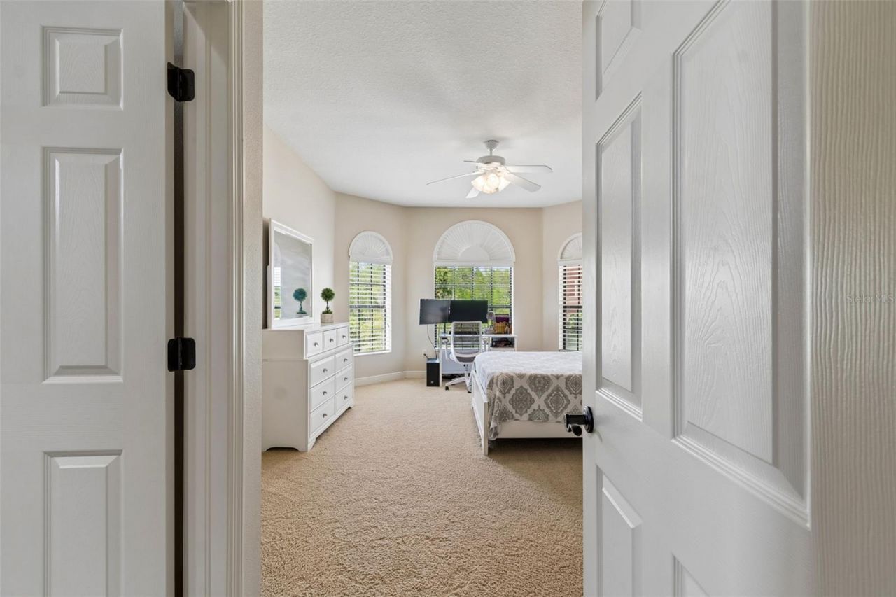 20330 Lace Cascade Road, Land O Lakes, FL 34637 Photo