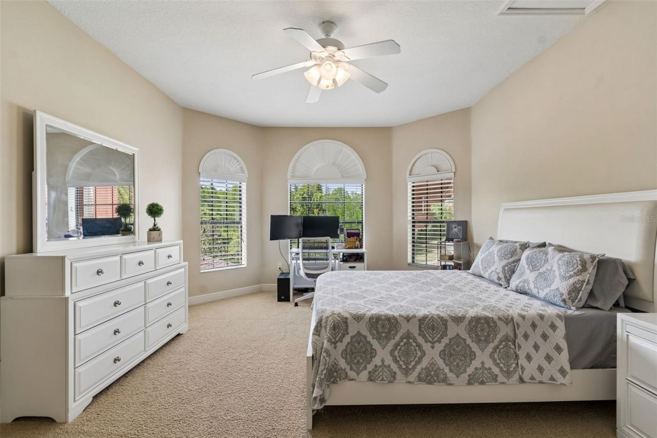 20330 Lace Cascade Road, Land O Lakes, FL 34637 Photo