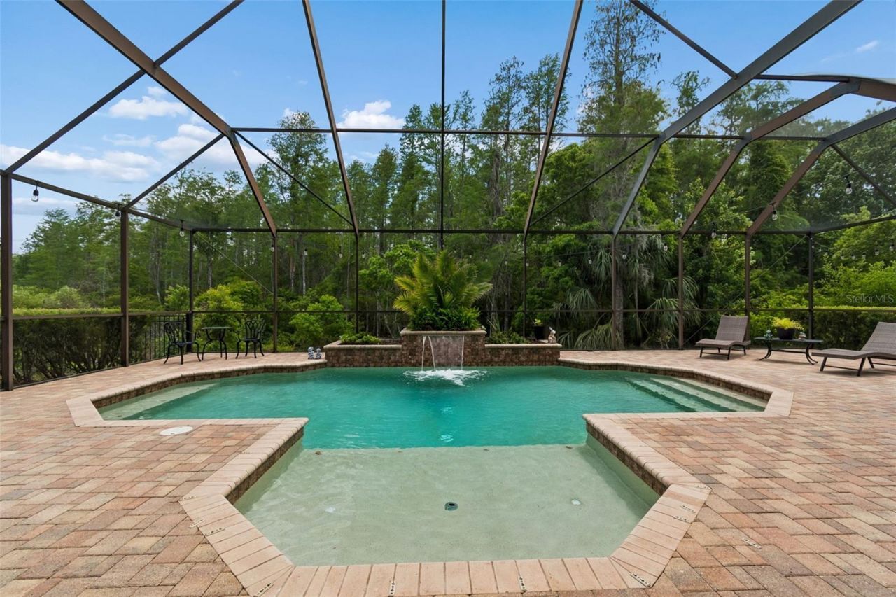 20330 Lace Cascade Road, Land O Lakes, FL 34637 Photo