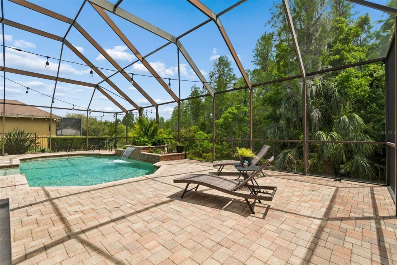 20330 Lace Cascade Road, Land O Lakes, FL 34637 Photo